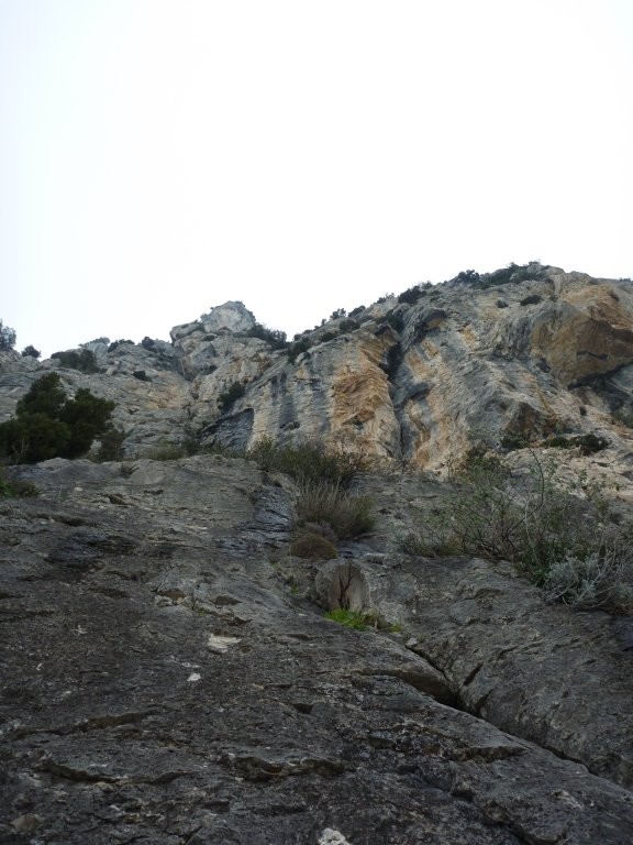 La voie vue du bas