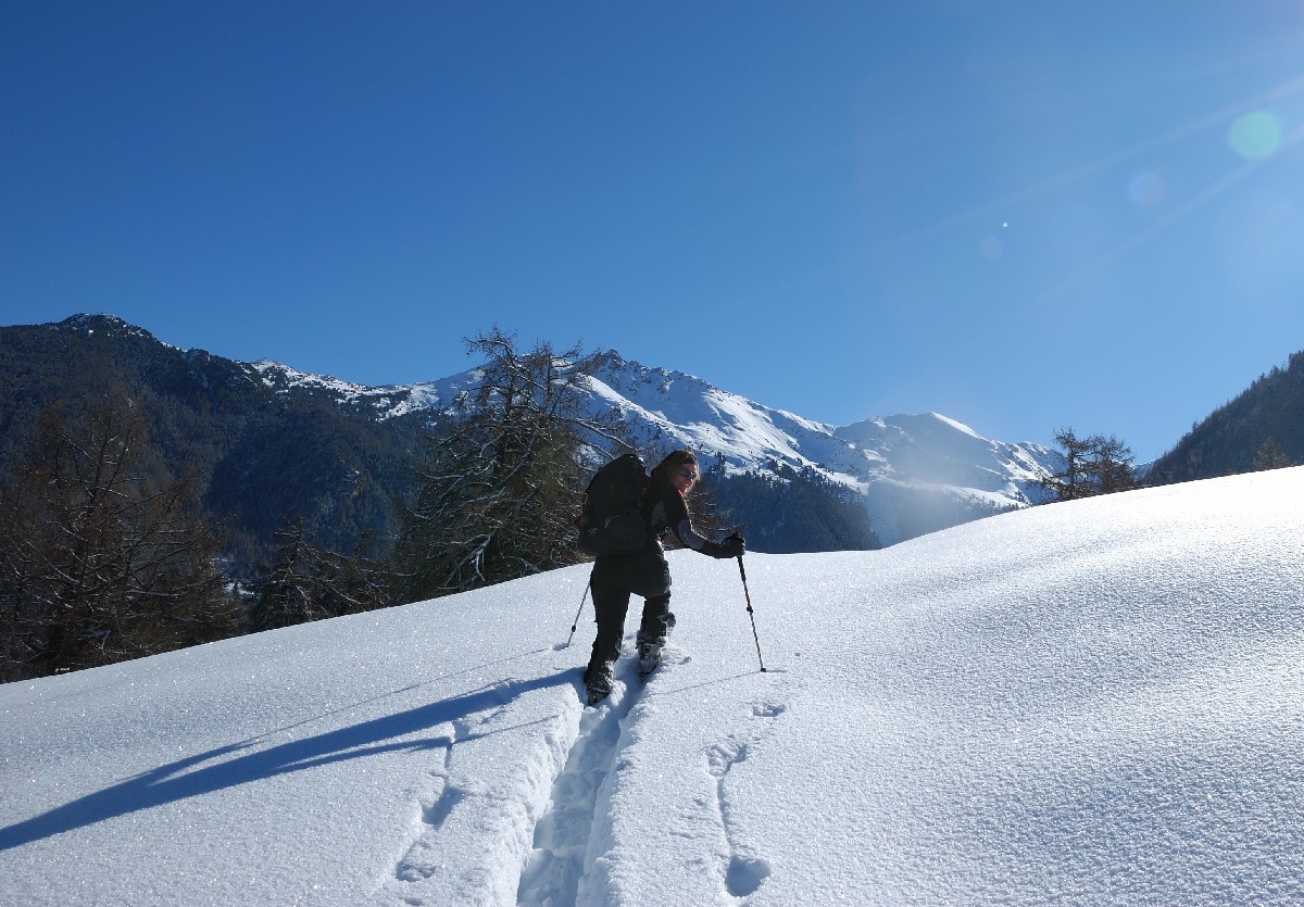 Alpage de Bouzerou, dans la montée à la Tour de Bonvin