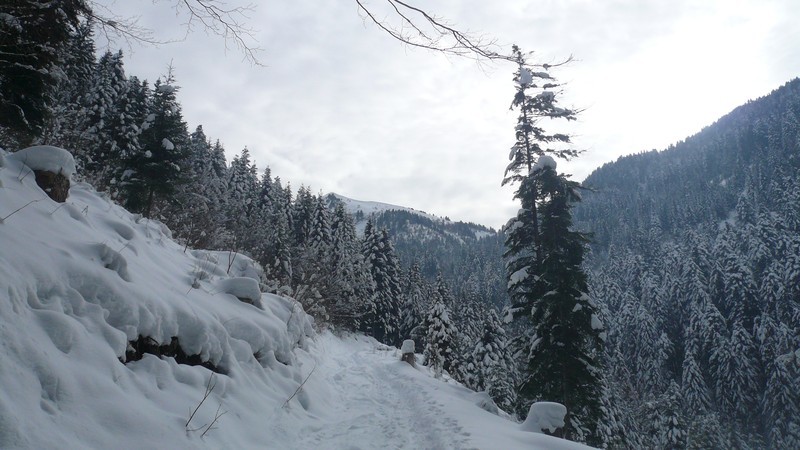 Piste menant au sommet