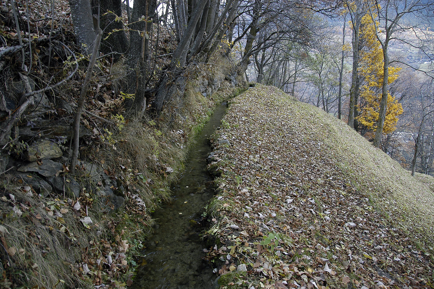 Bisse de Kehrwasser