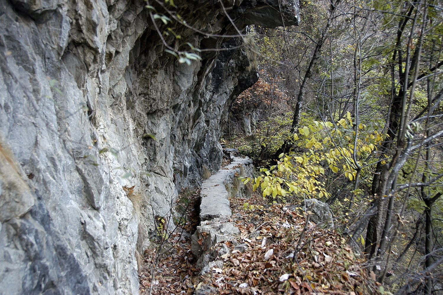 Bisse de Kehrwasser
