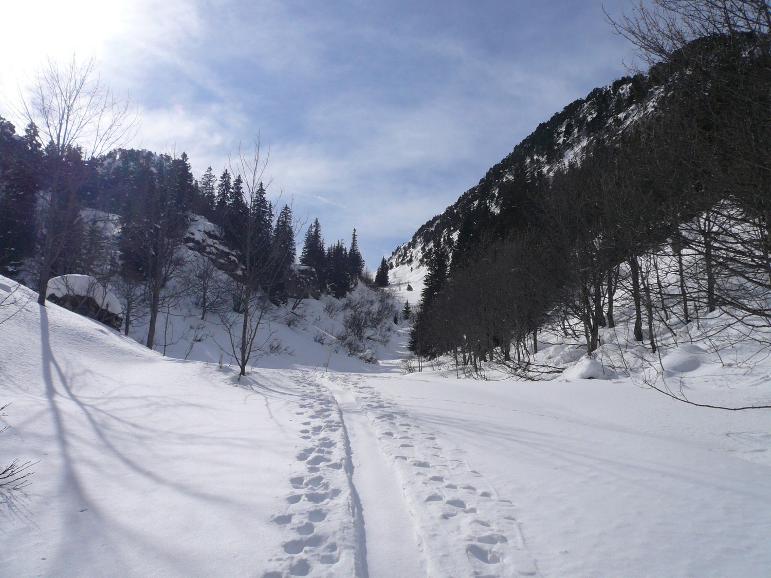 Combes des Illettes: sortie de la forêt.