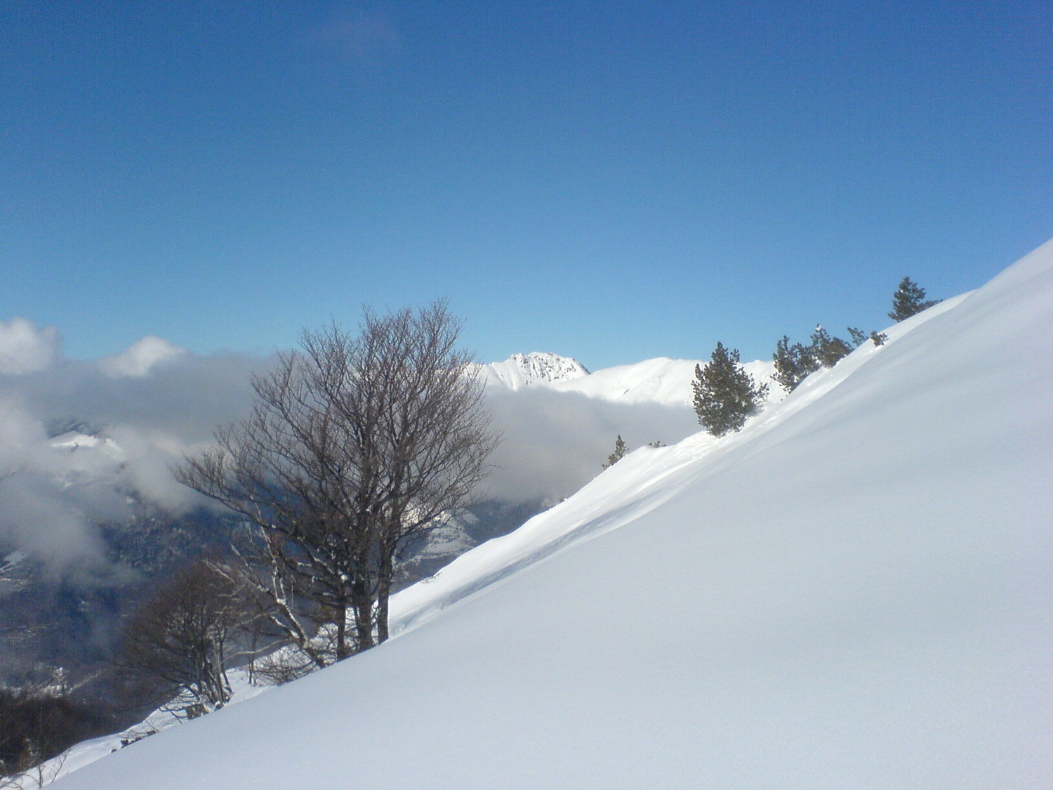 soleeeee...in lontananza il Camoghè