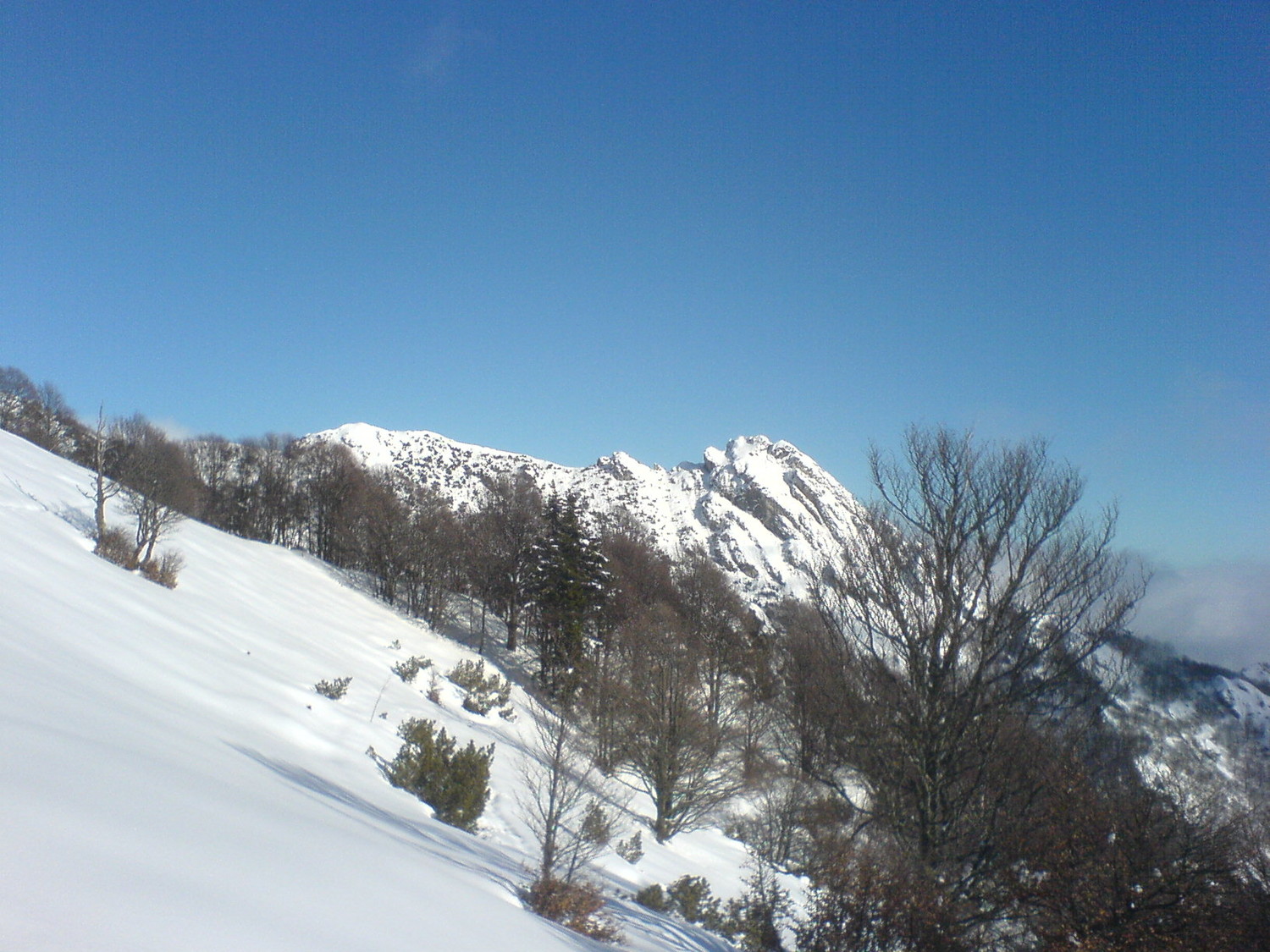 Fojorina e Torrione