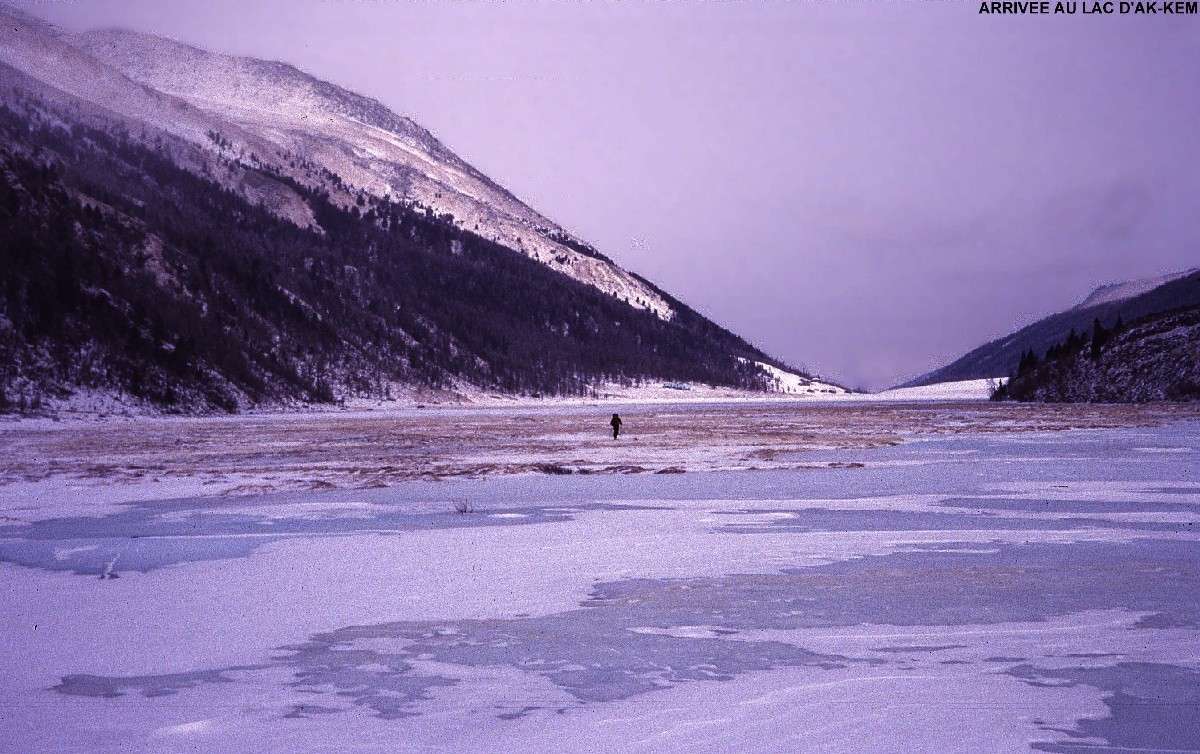 Altai sibérien