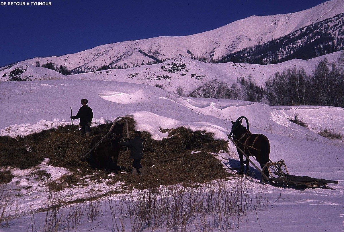 Altai sibérien