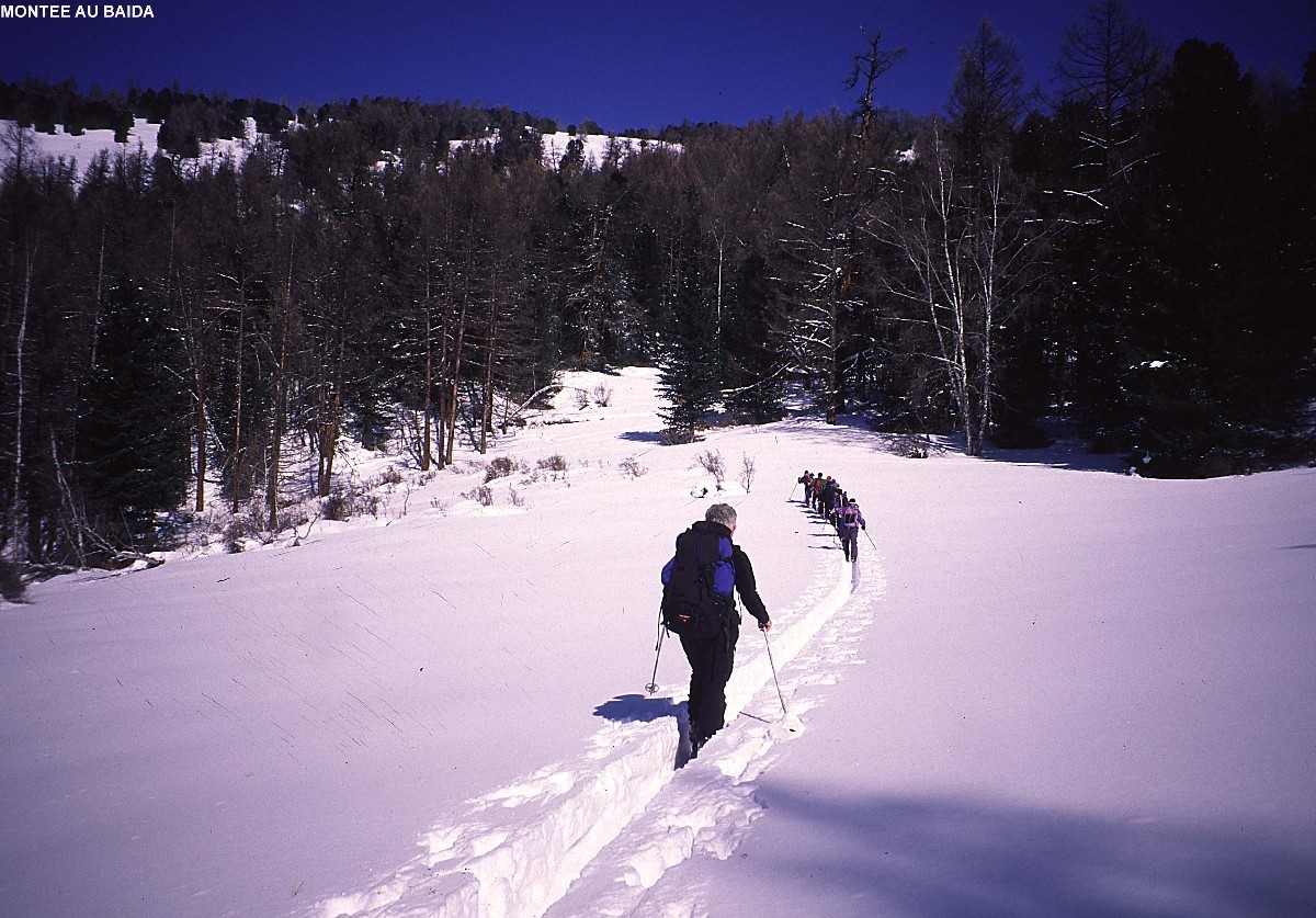Altai sibérien
