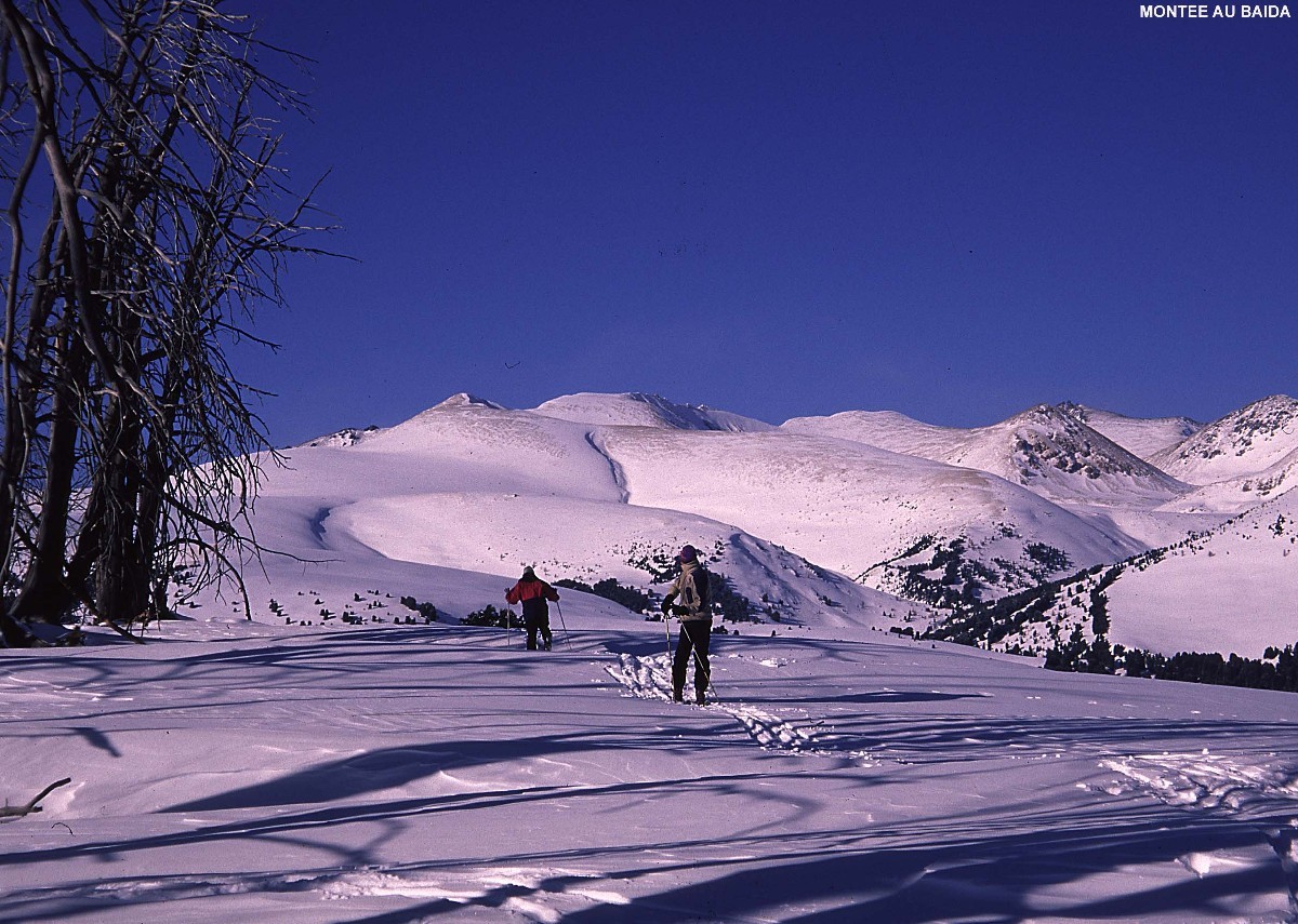 Altai sibérien