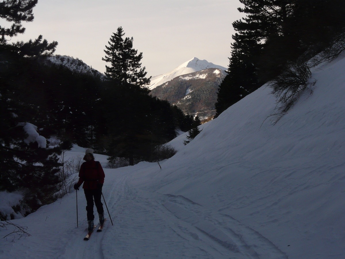 Dans le vallon de Tranchemule