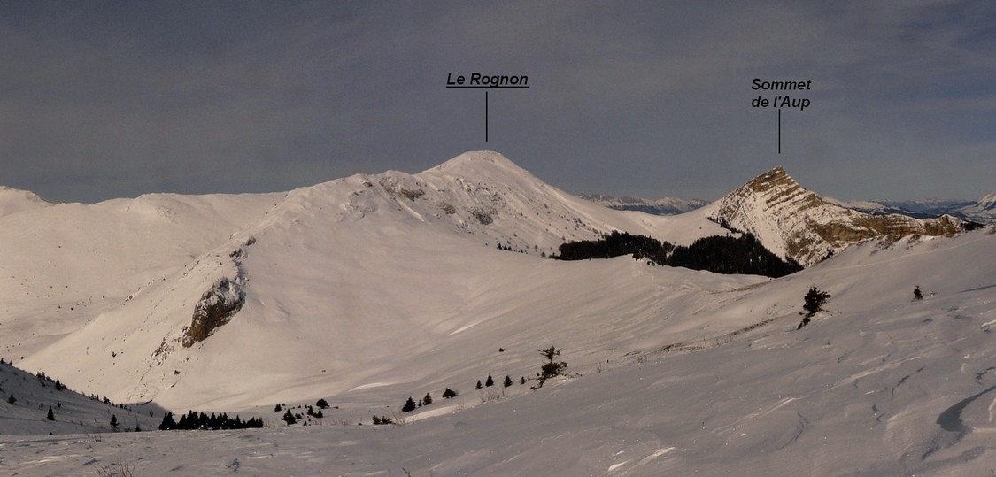 Le Rognon
