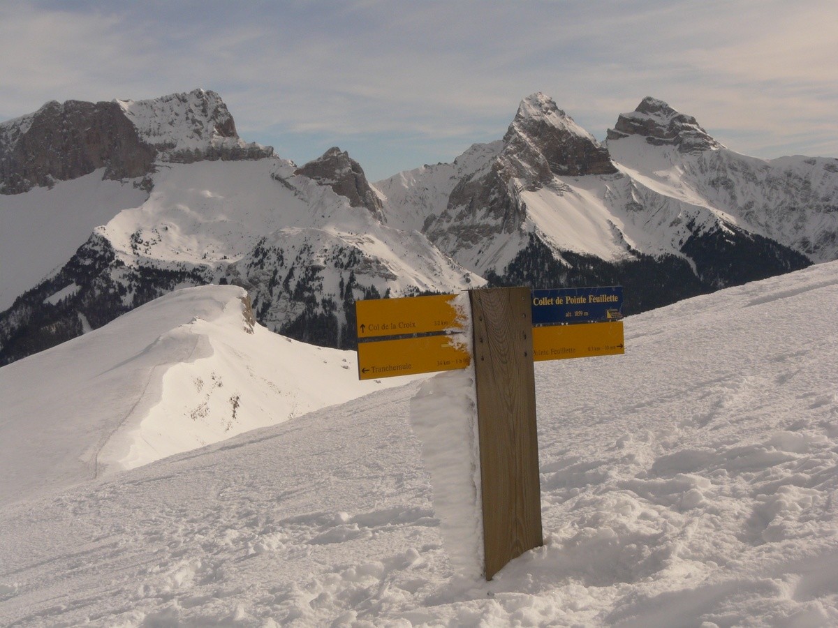 Collet de Pointe Feuillette