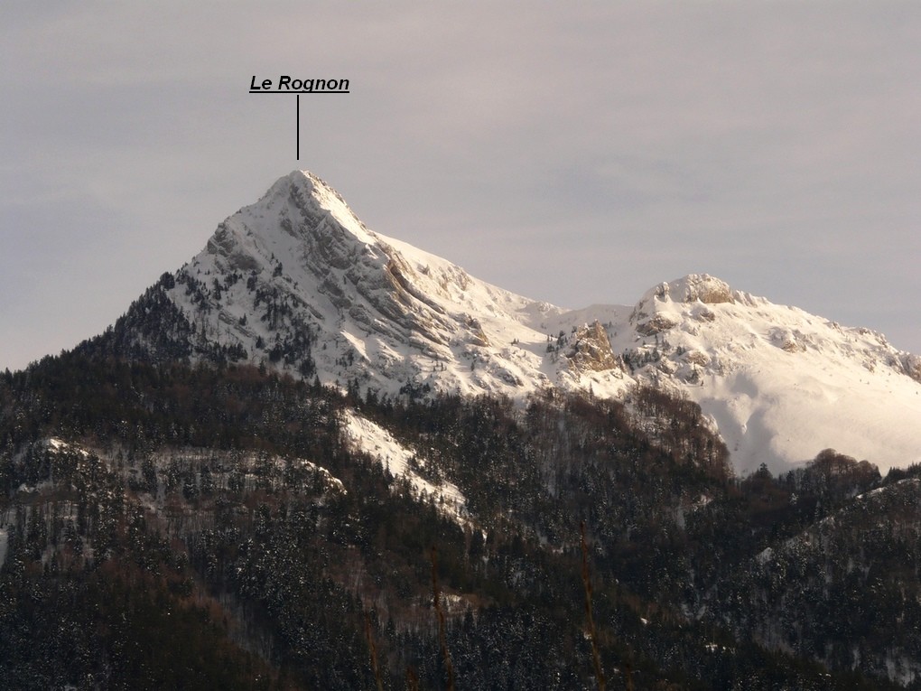 Le Rognon