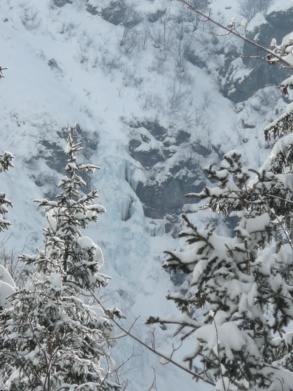 11_Cascades_8_9.JPG