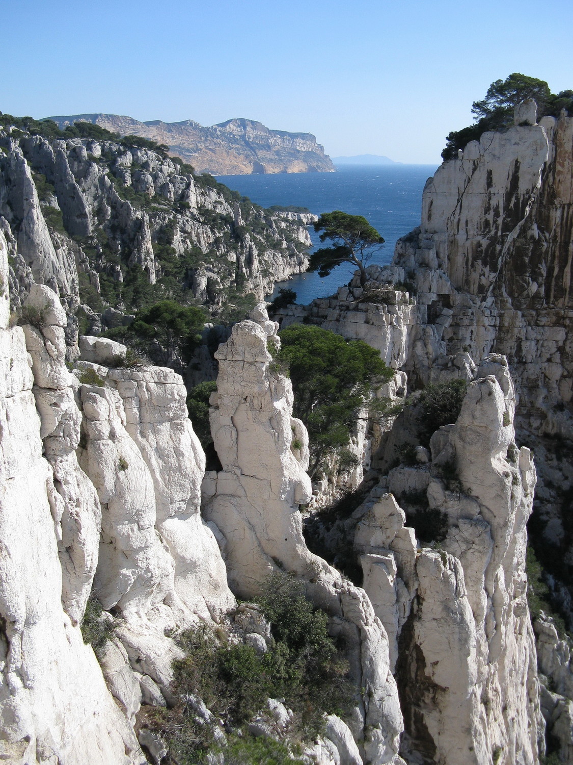 Les Calanques c'est beau...