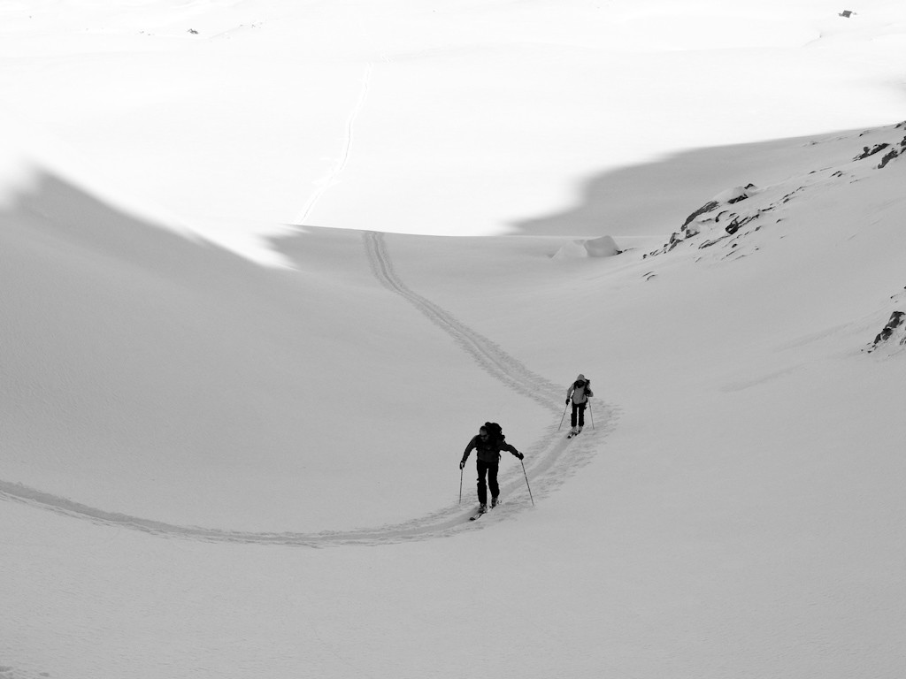 Pureté des lignes...