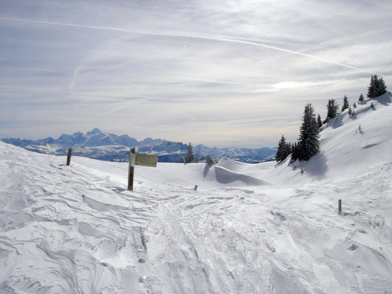 Col de Vésinaz