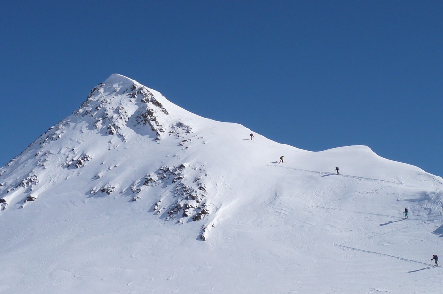 Rappehorn