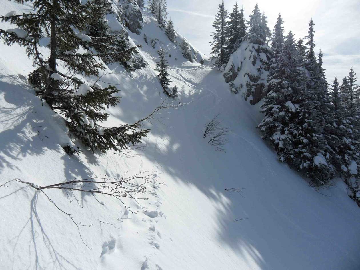 sous le col la poudre encore lisse