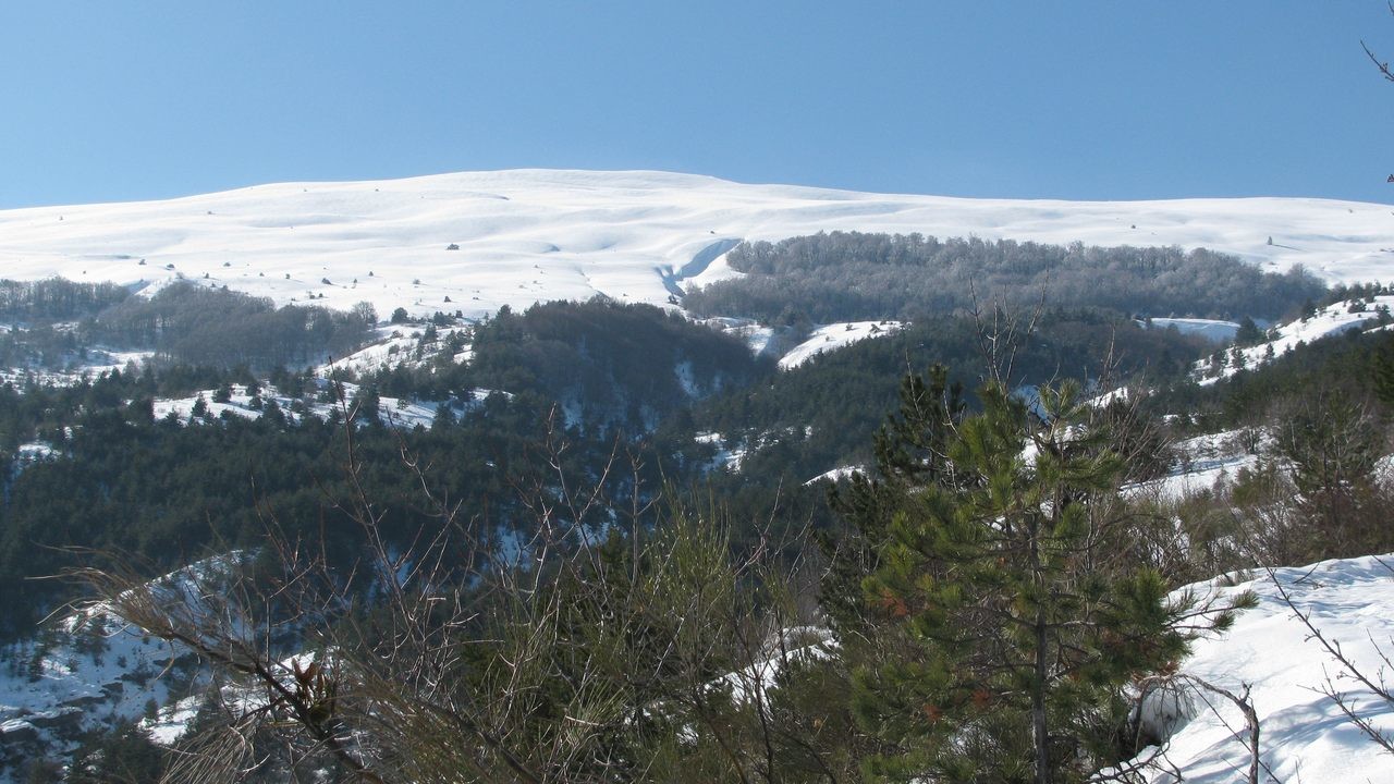 Vue du sommet, depuis le départ