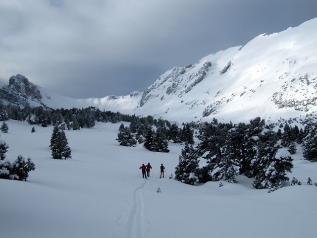 Sur le plateau de l'Aup du Seuil
