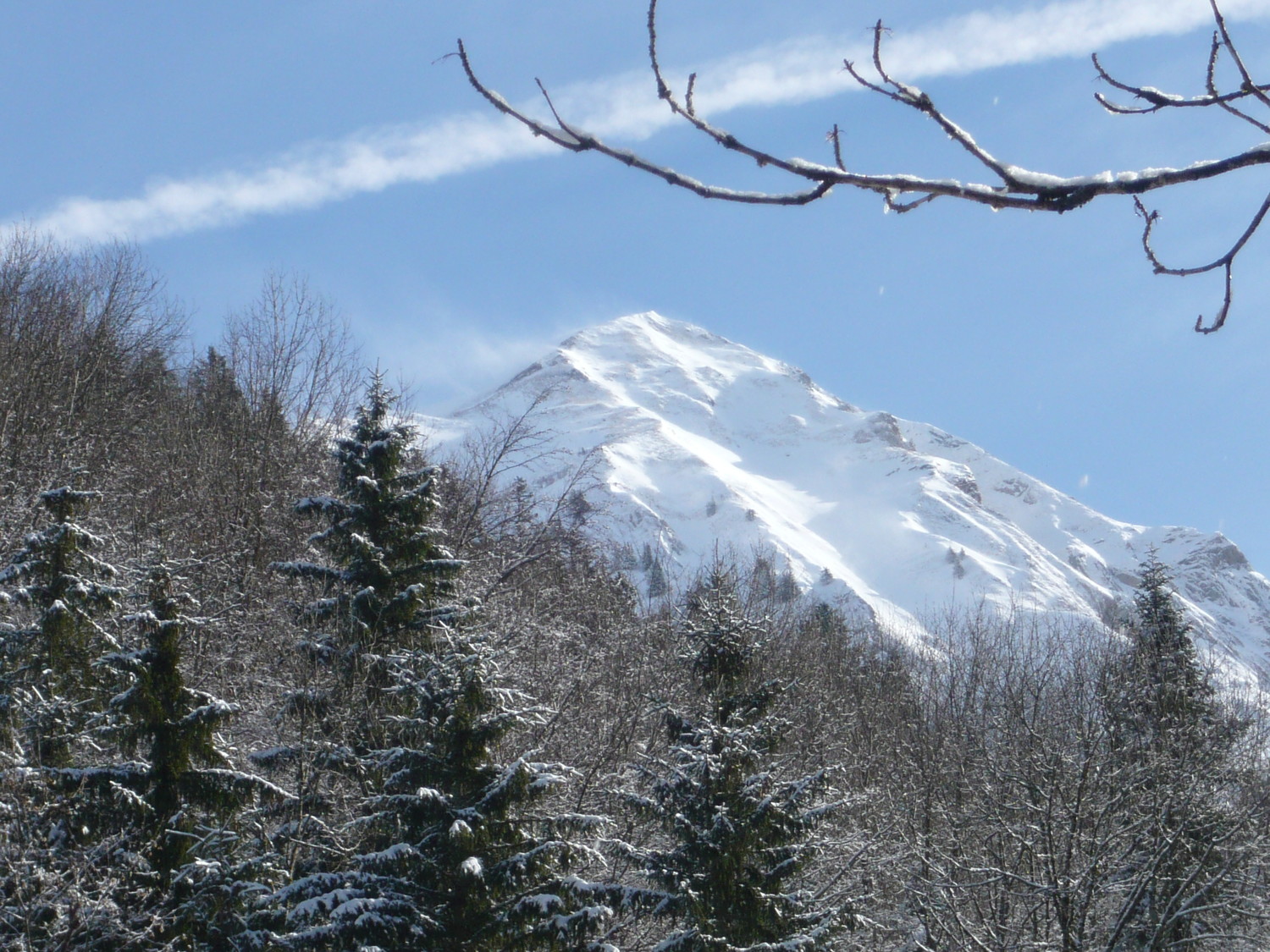 Mont Pécloz vue de la forêt
