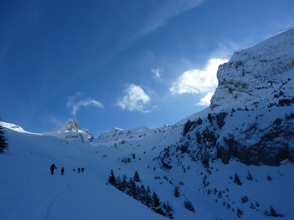 Dans la Combe de Blonnière