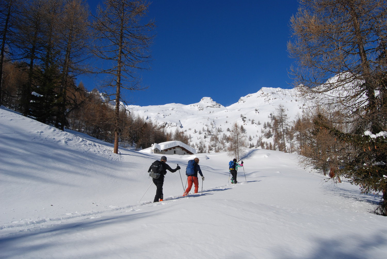 Battitura della traccia a Pescia Alta 2050 m.