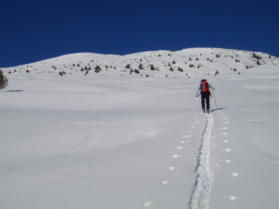 Verso la cima