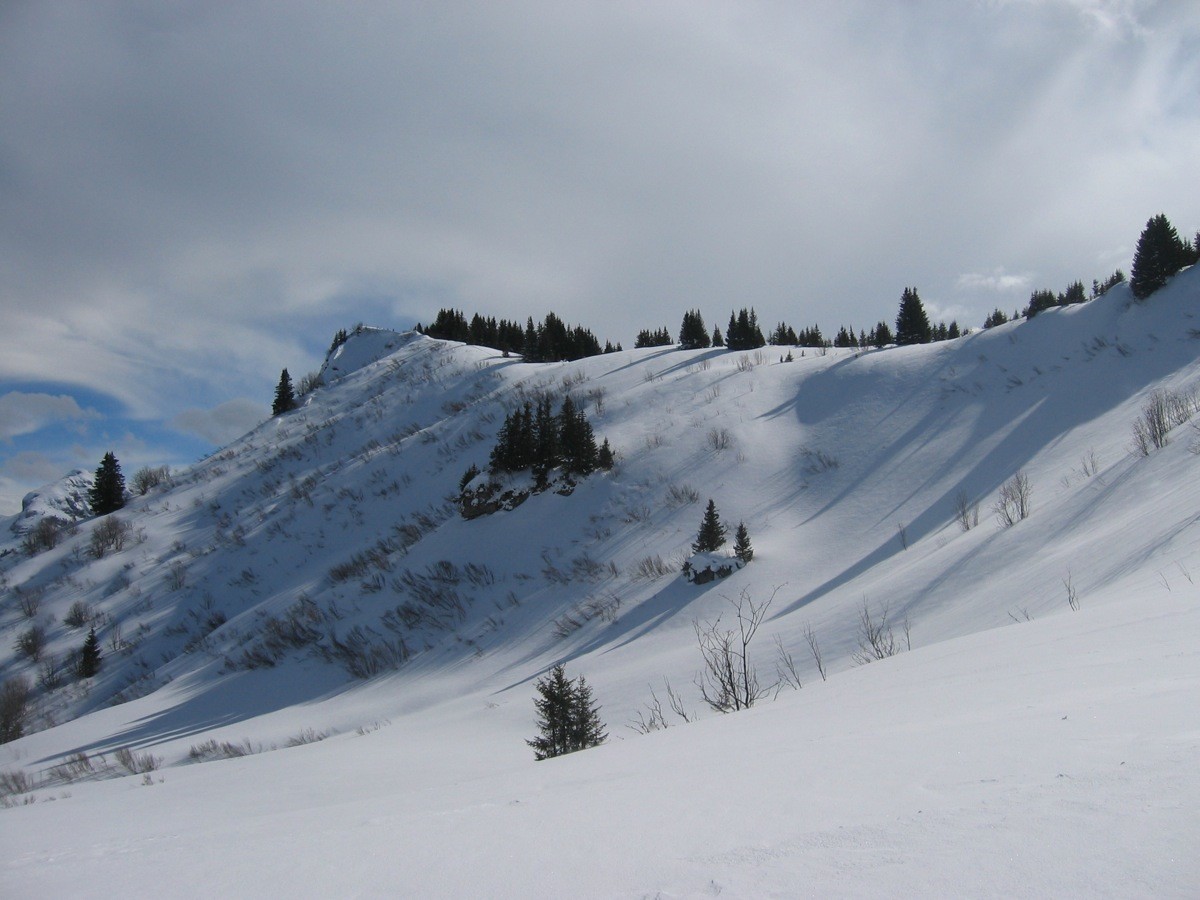 Pointe des Lanches, depuis le plateau sous l'Aup Couti