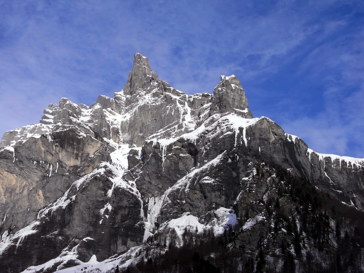 Fer à Cheval
