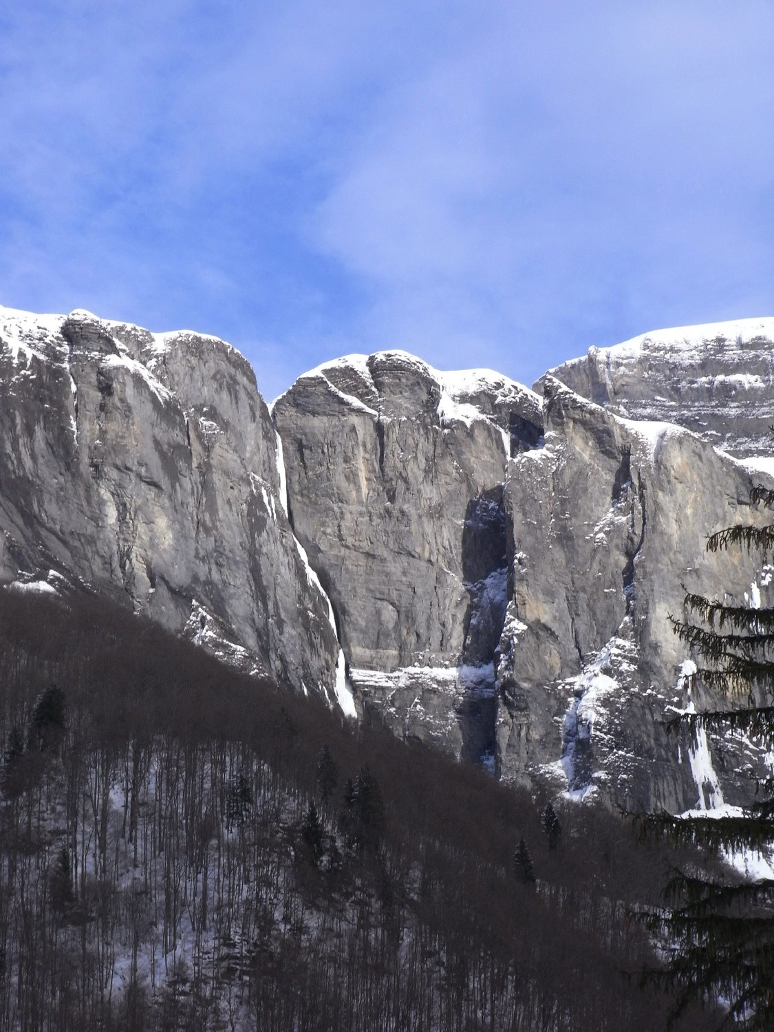 Fer à Cheval