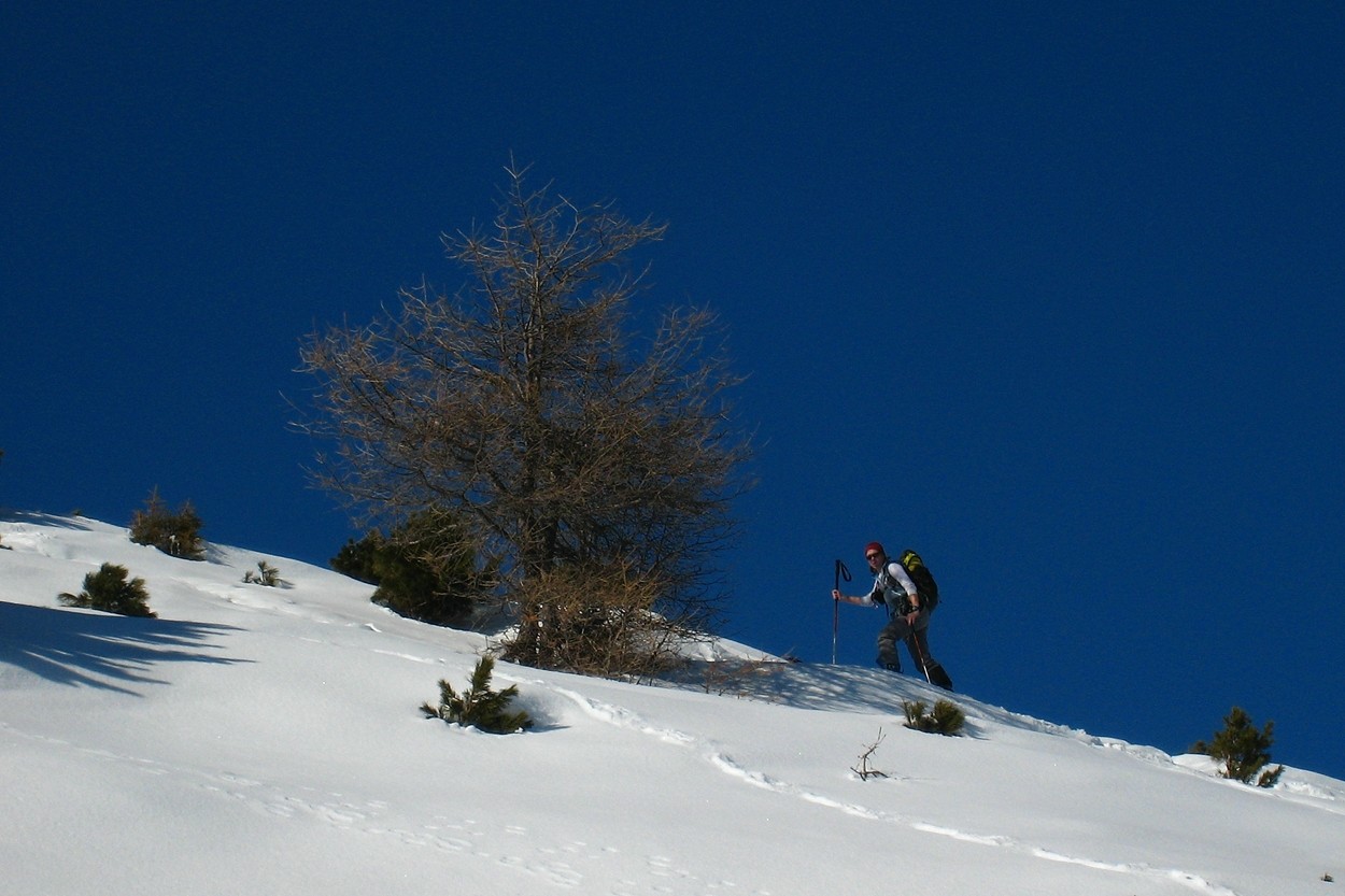 Agnès sur la croupe NE du Seblasspitze
