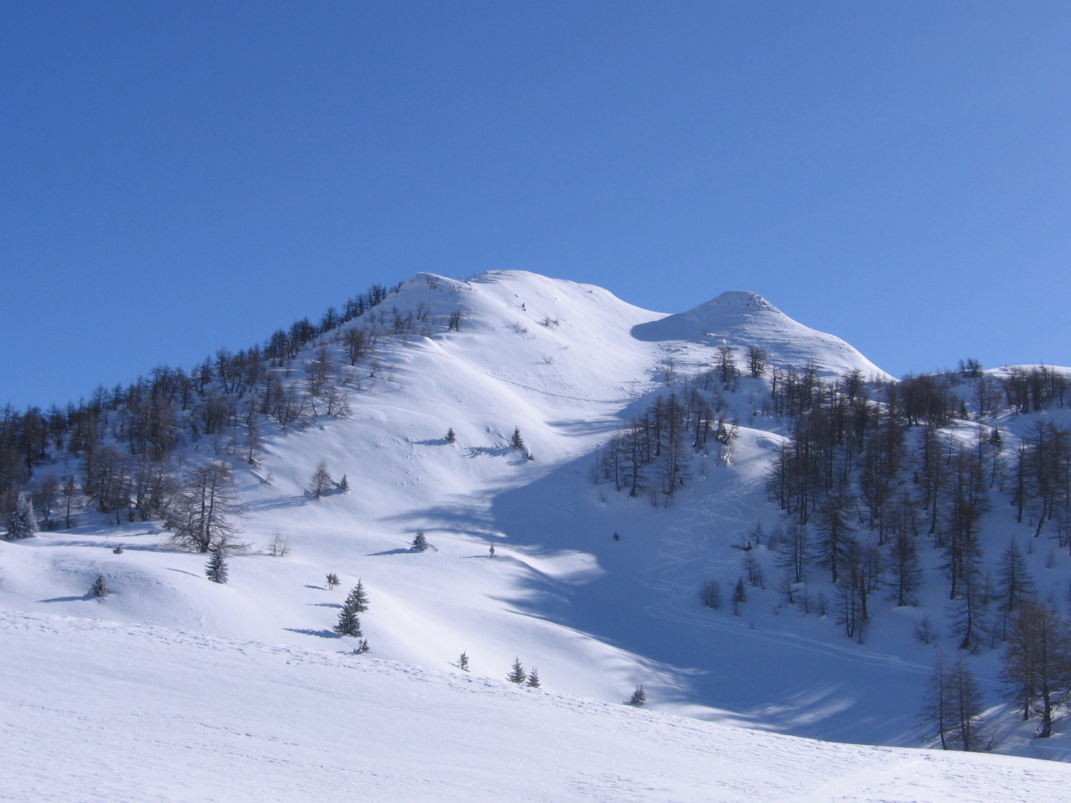 dal Passo Cantonill