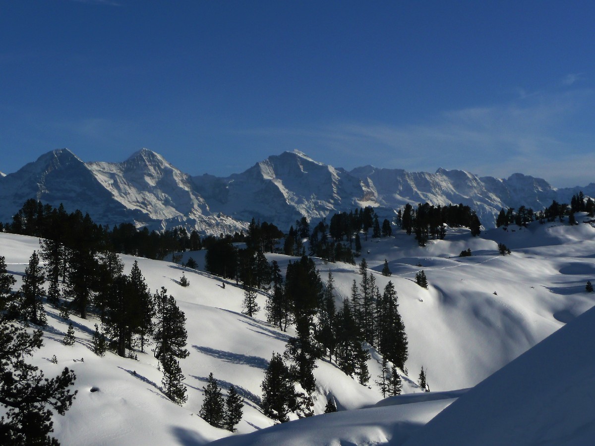 Eiger - Mönch - Jungfrau vus des Sieben Hengste