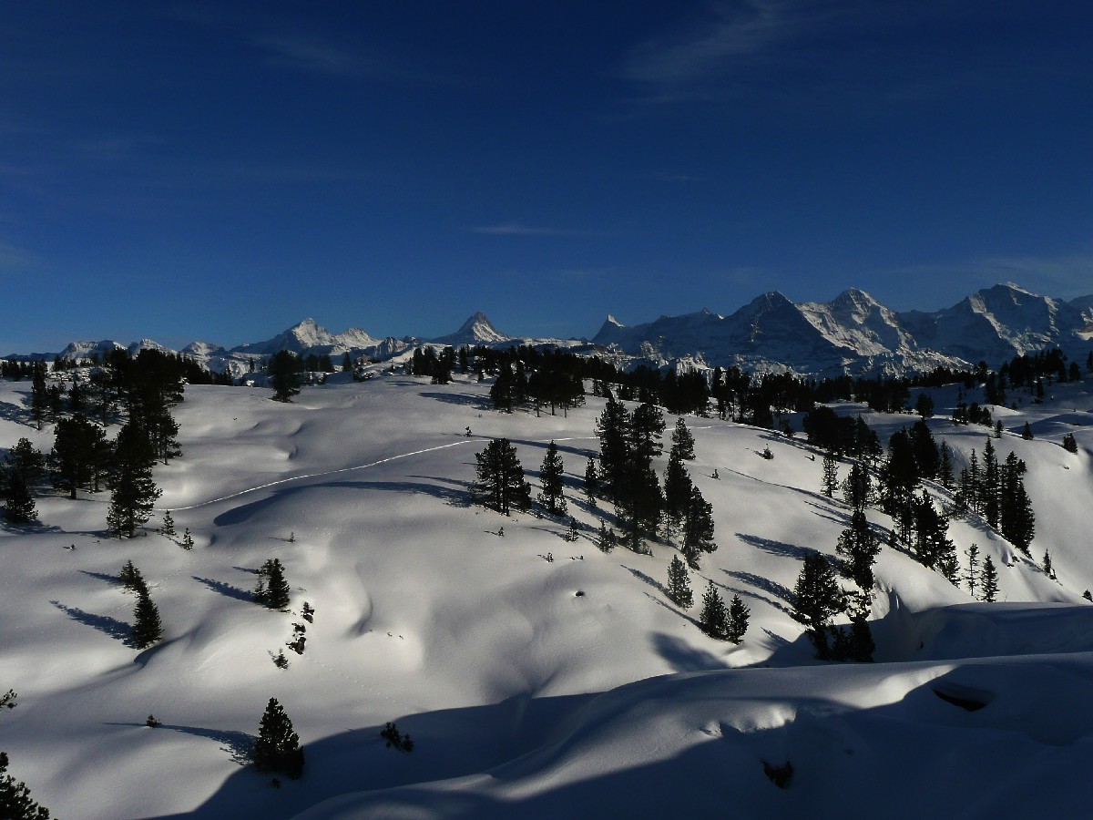 Lapiaz des Sieben Hengste, au fond les 4000m de l'Oberland