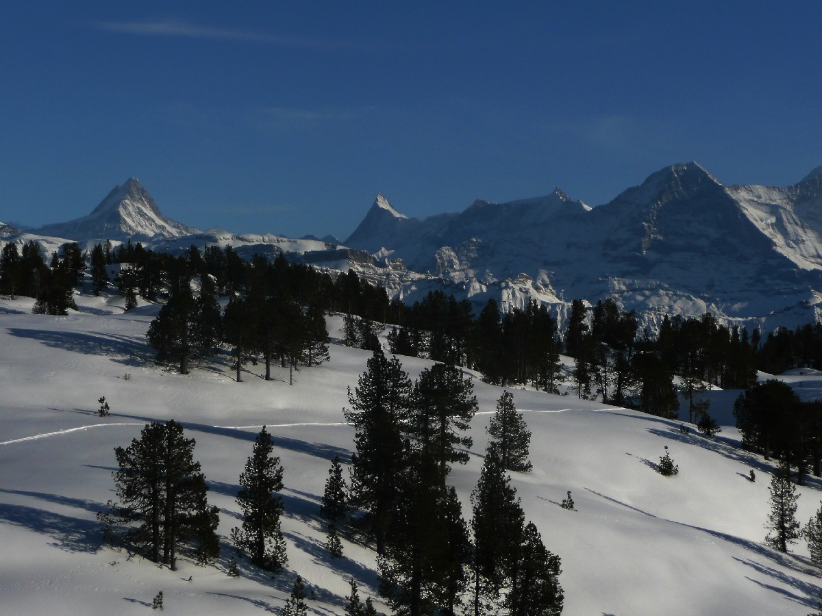 Lapiaz des Sieben Hengste, au fond le Finsteraarhorn et l'Eiger