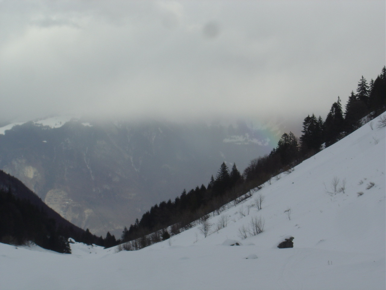 Un peu de couleurs sur ce gris