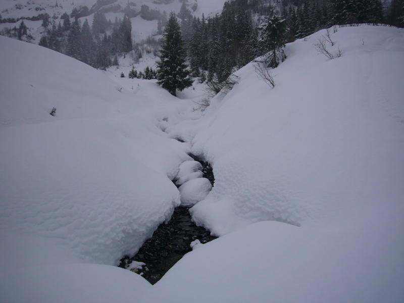 Bien que mouillée la neige n'est pas encore en manque