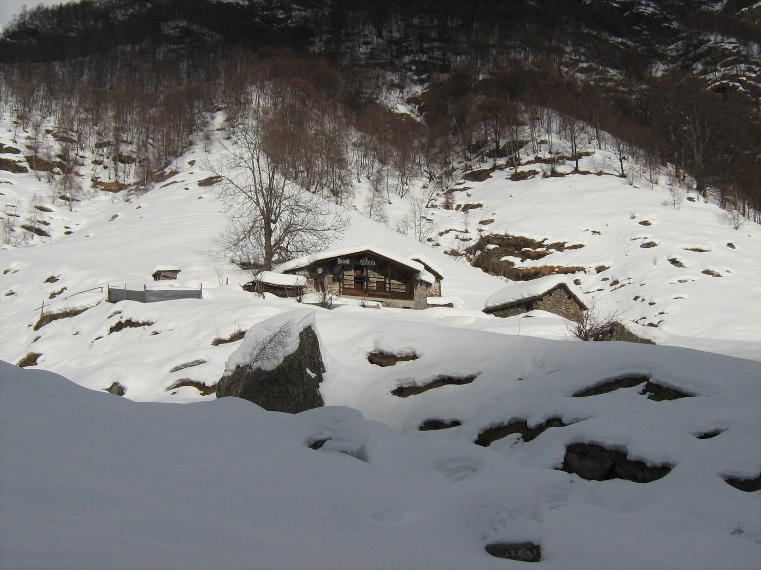 Alpe Goreto