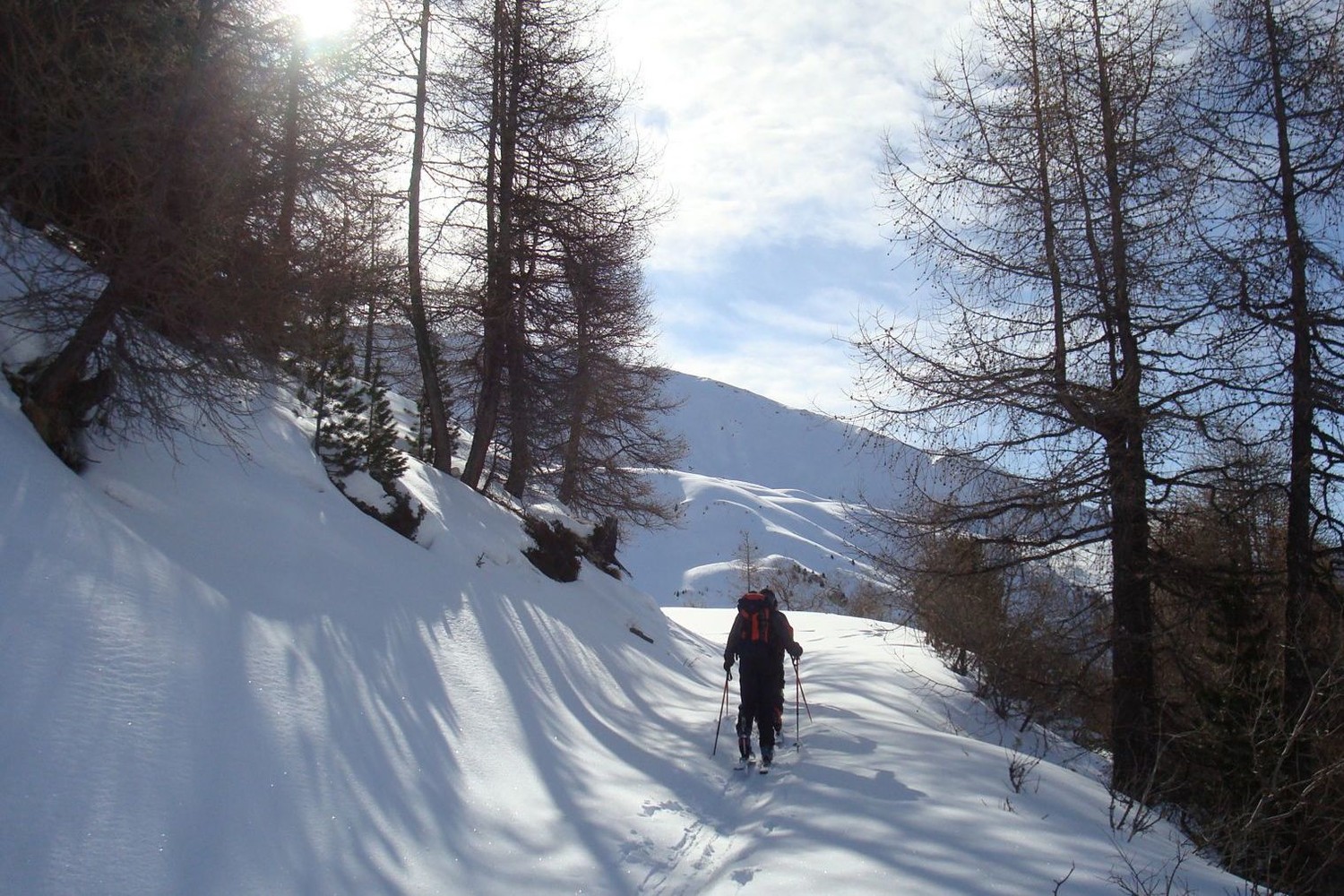Ambiance sympa sur le chemin d'alpage...