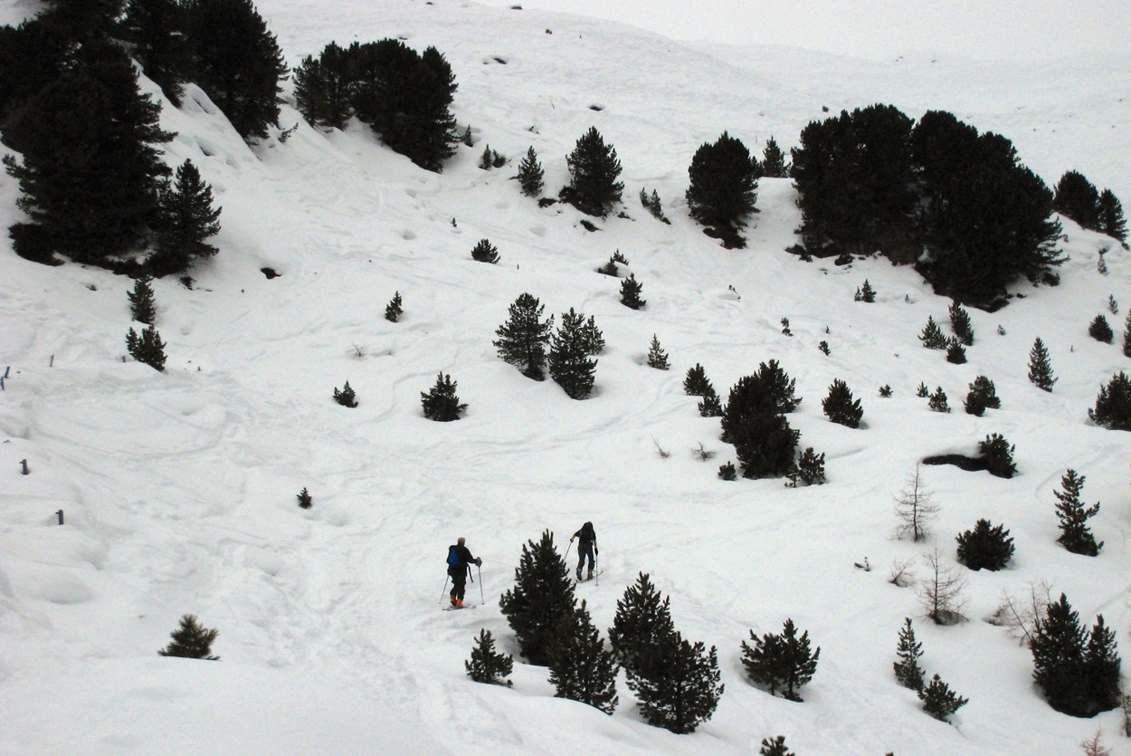 Neige déjà bien tracée de toute part...