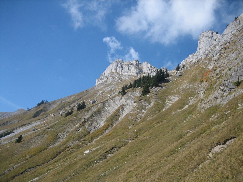 Sambuy