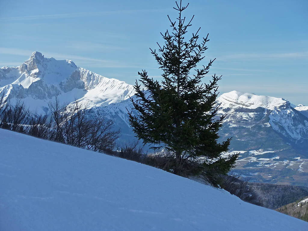 Vue sur l'Obiou