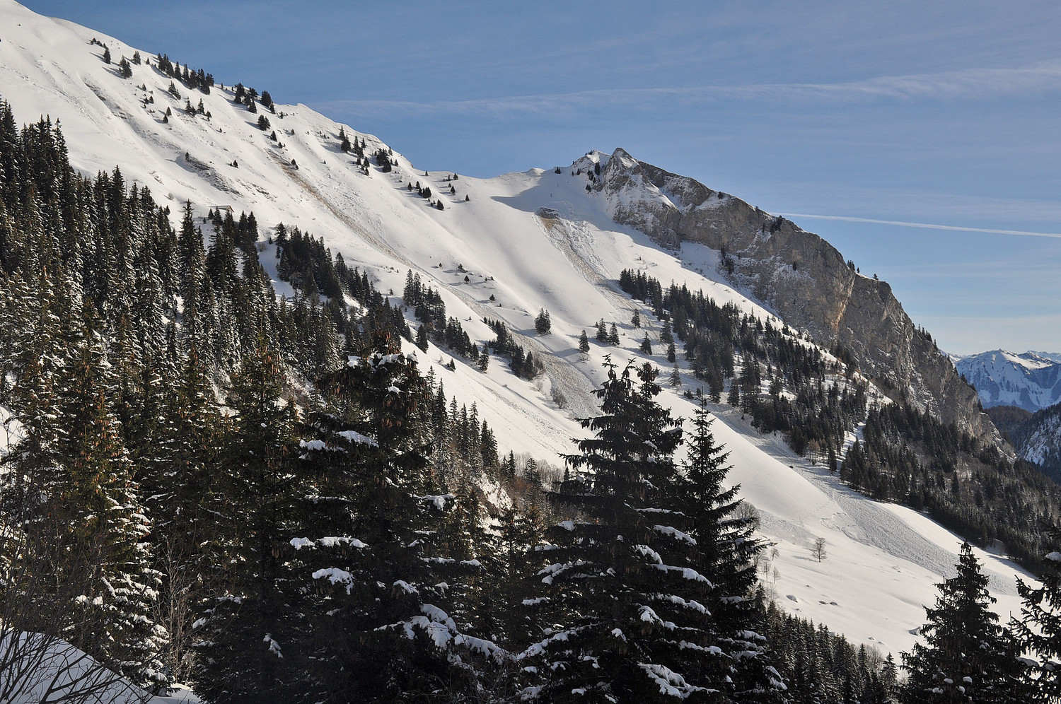 Vue générale sur les 2 plaques pente "les Combes" sur l'itinéraire du Grammont