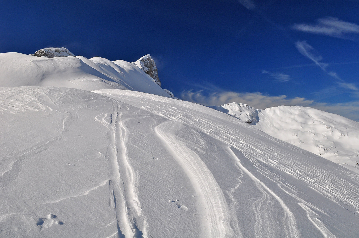Cornettes et Lanchenaire pointent le bout du nez !