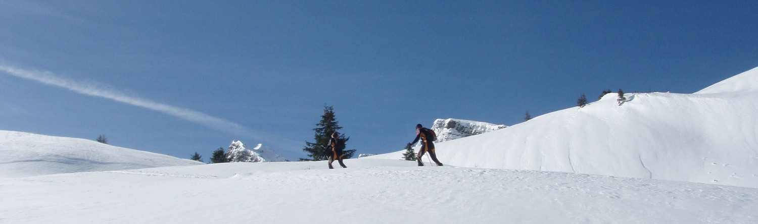 Montée en belle poudre