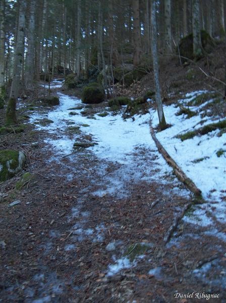 Passage en forêt, en partie du portage