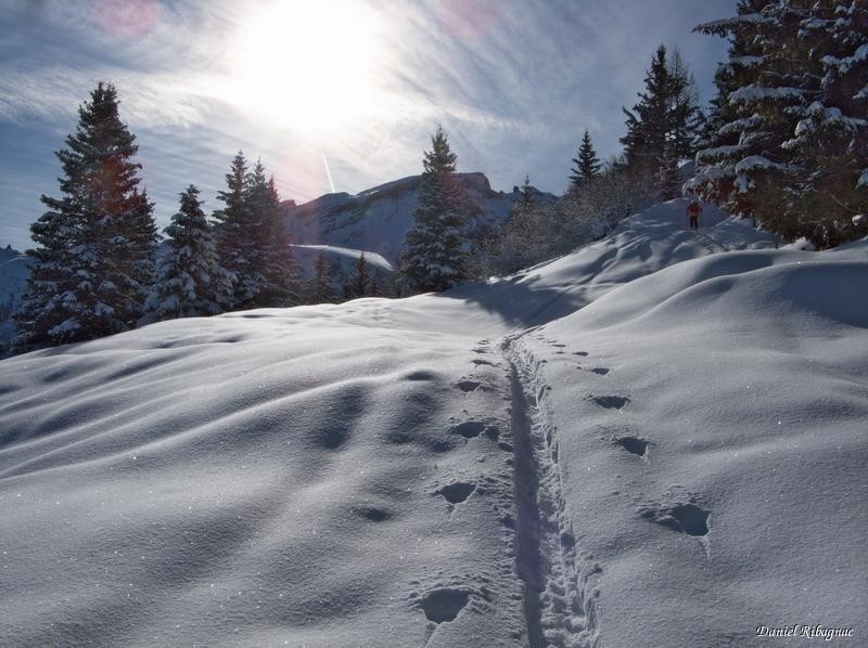 Montée à Petit-Châtillon
