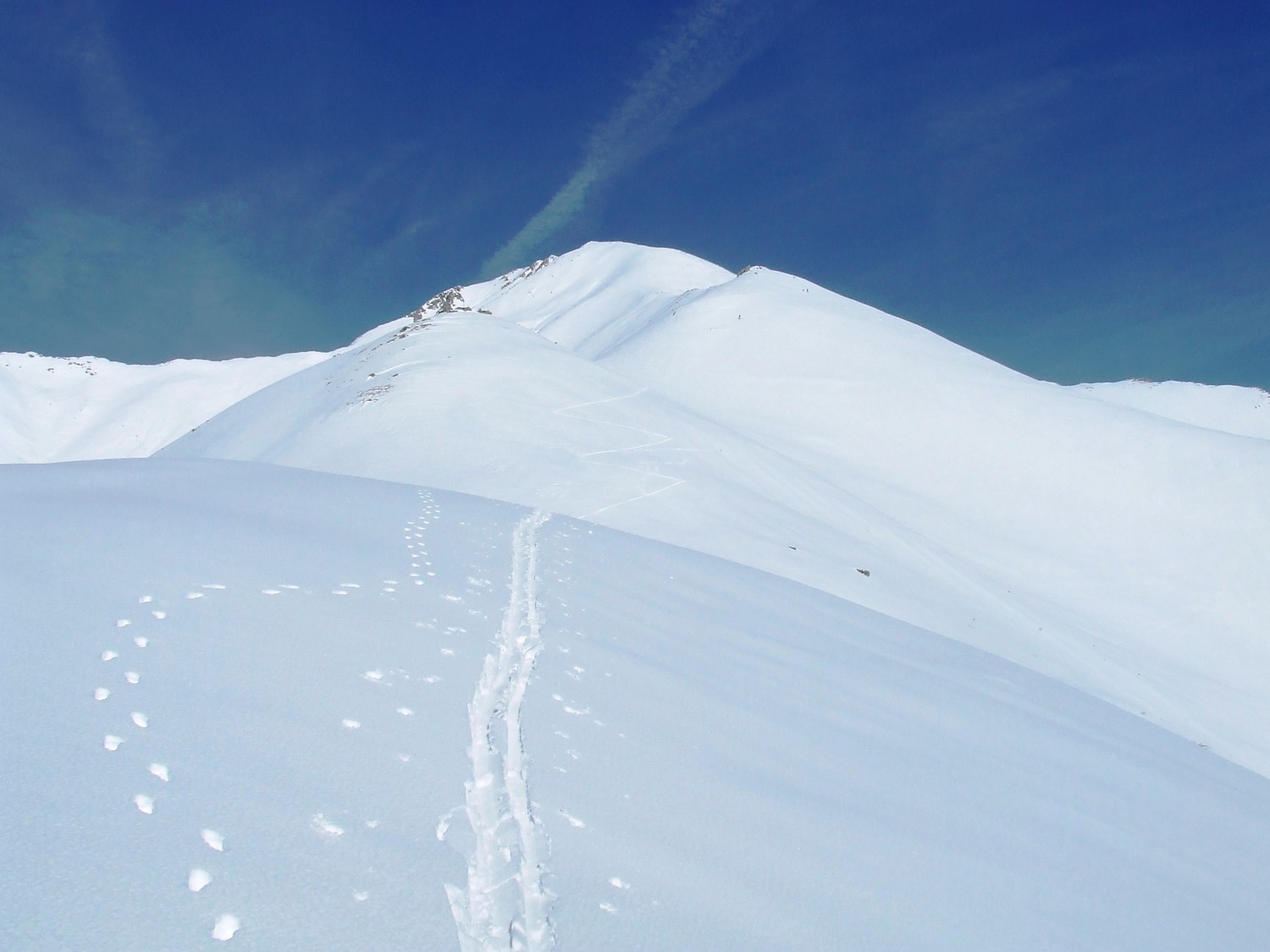 verso la cima della Corvegia