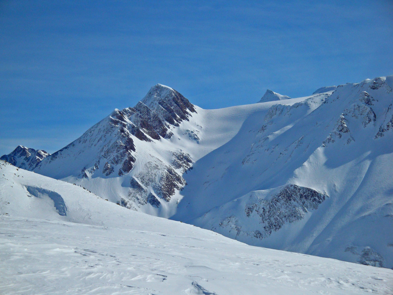 Rappehorn